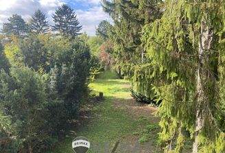 01 Grundstück in Langenzersdorf