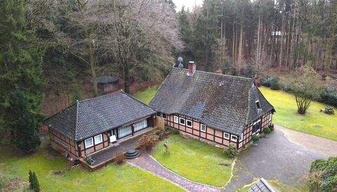 Hemsbünde Häuser, Hemsbünde Haus kaufen