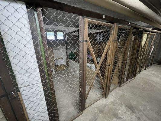 Eigenes Kellerabteil (trocken)