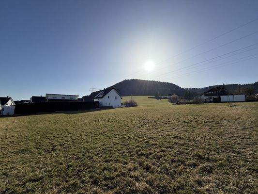 Blick auf den Weilheimer Berg 