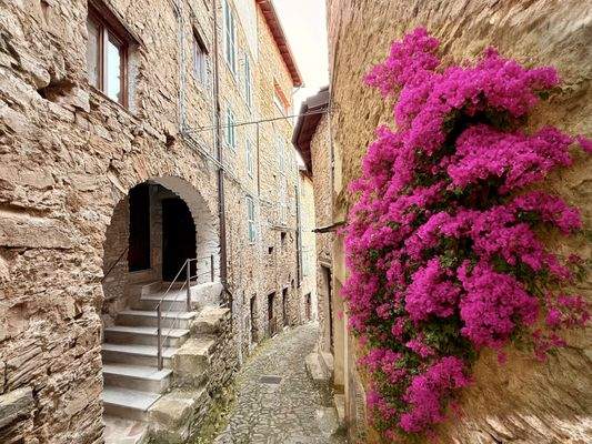 AP_912_TERRA_ITALIA_IMMOBILIEN_LIGURIEN_APRICALE_V