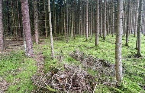 Vohenstrauß / Altenstadt bei Vohenstrauß Bauernhöfe, Landwirtschaft, Vohenstrauß / Altenstadt bei Vohenstrauß Forstwirtschaft