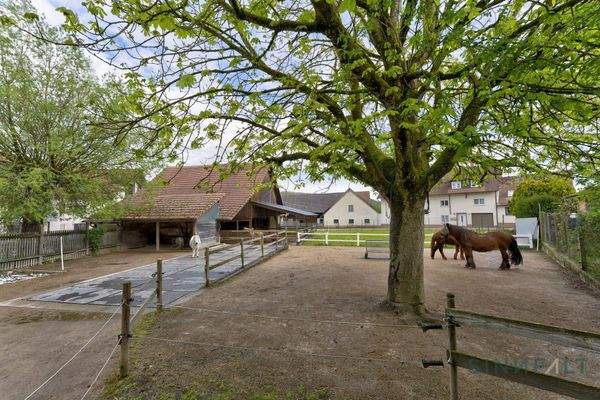 Paddock und Stallungen - Bebauung möglich