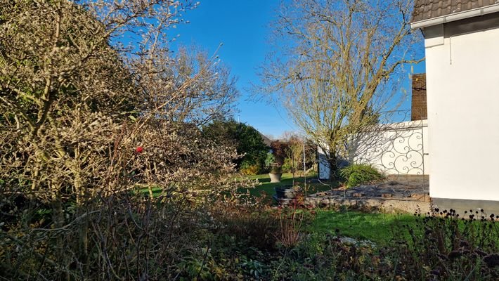 schöner, sonniger Garten