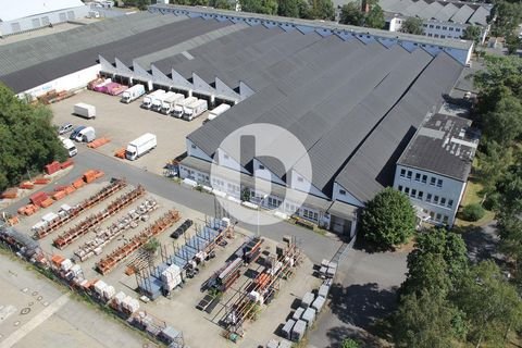 Braunschweig Halle, Braunschweig Hallenfläche