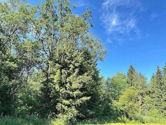 20250625_074025512_iOS