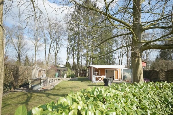 Blick in den Garten 