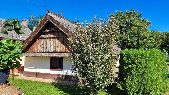 WhatsApp Image 2025-11-10 at 16.31.32.jpeg