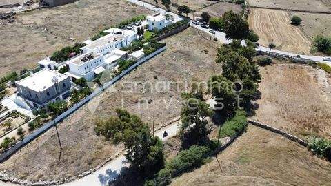 Piso Livadi, Paros Bauernhöfe, Landwirtschaft, Piso Livadi, Paros Forstwirtschaft