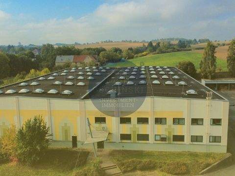 Zeulenroda-Triebes Halle, Zeulenroda-Triebes Hallenfläche