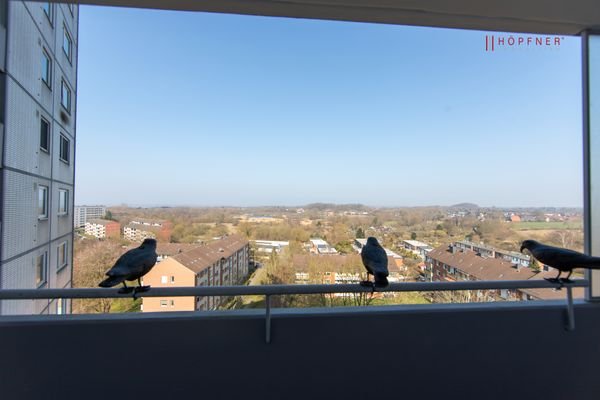 Ausblick Richtung Kieler Förde aus der Küche