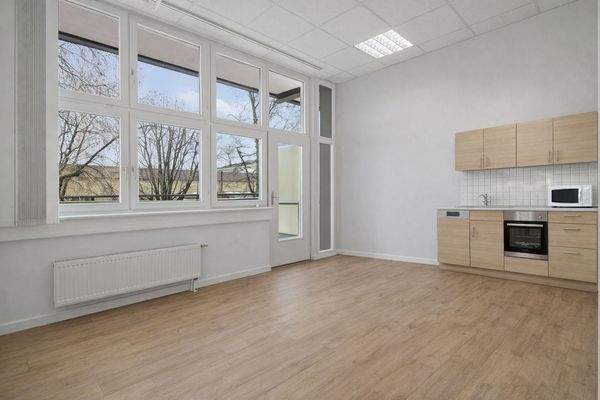 Visualisierung Zugang und Küche