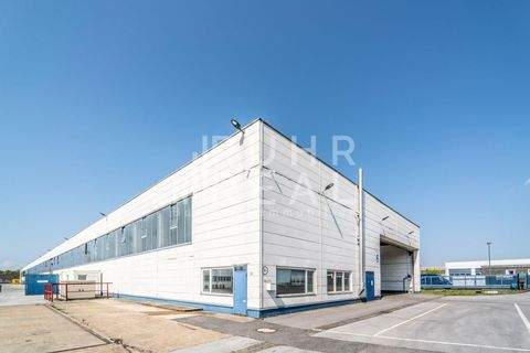 Langenfeld Halle, Langenfeld Hallenfläche