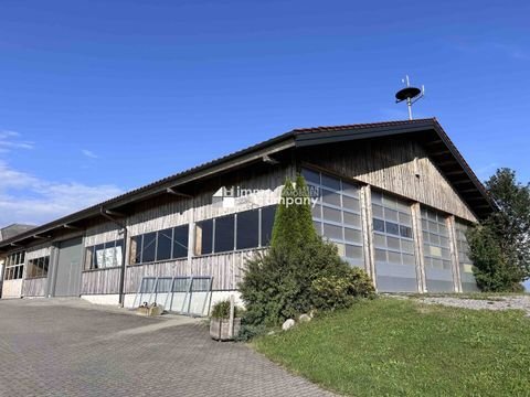 Seekirchen am Wallersee Halle, Seekirchen am Wallersee Hallenfläche