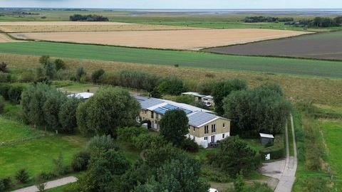 Tating Häuser, Tating Haus kaufen