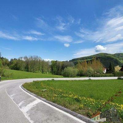 20220505_110052_resized_1