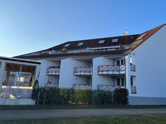 Rückansicht vom Park