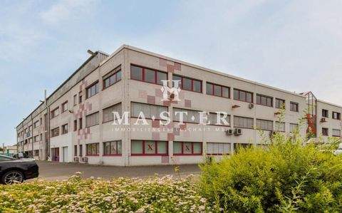 Bingen Büros, Büroräume, Büroflächen 
