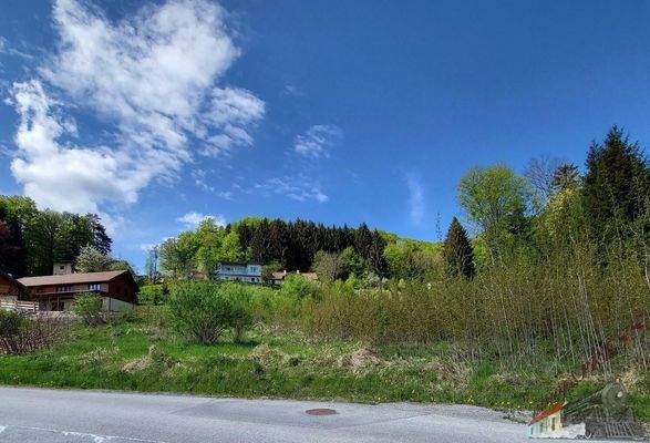 20220505_105959_resized_1