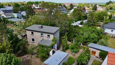 Biederitz Häuser, Biederitz Haus kaufen