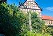 IMG_5621.jpeg