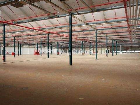 Flörsheim am Main Halle, Flörsheim am Main Hallenfläche