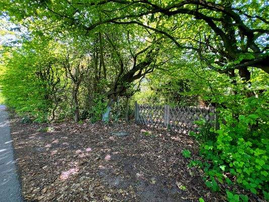 SCHRICK IMMOBILIEN: Ahrensburg