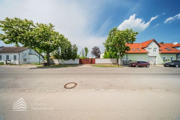 Bild 19