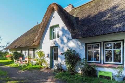 Garding / Borsthusen Häuser, Garding / Borsthusen Haus kaufen