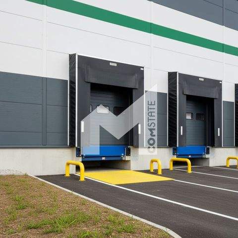 Meckenheim Halle, Meckenheim Hallenfläche