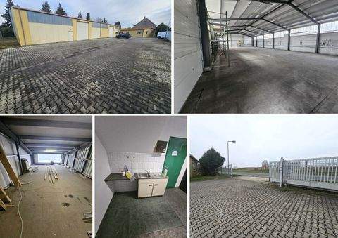 Belgershain Halle, Belgershain Hallenfläche