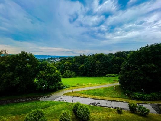 Ausblick ins Grüne 