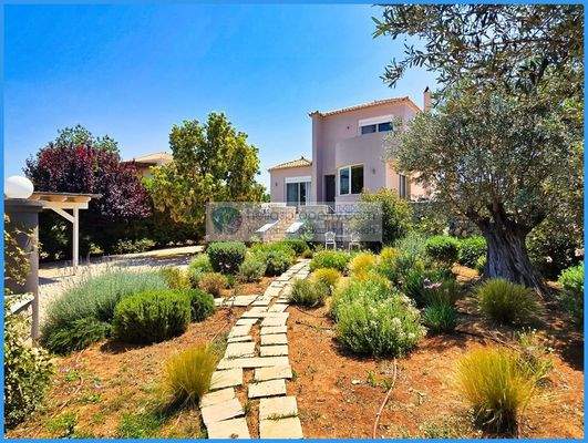 c6d7850a75884c8e9b207181131732fa-original