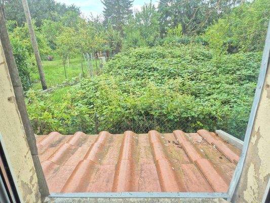 Blick in den Garten aus Flur Anbau