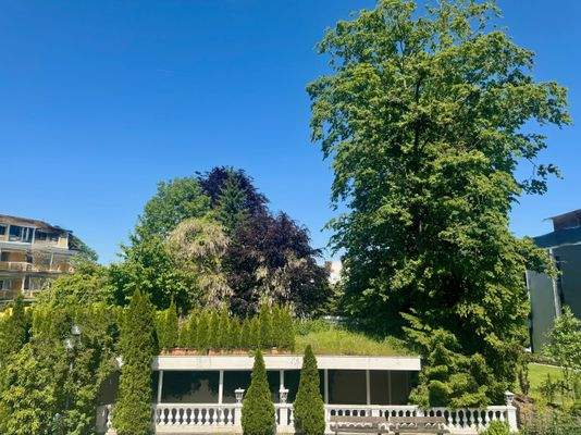 Blick vom Balkon der Küche