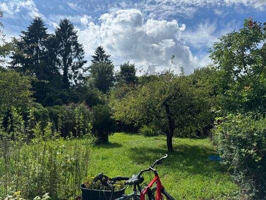 Gemeinschaftsgarten, Blick Dachterrasse