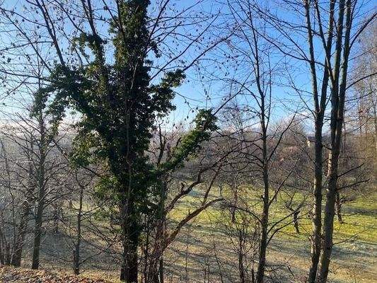 Ausblick vom Grundstück ins Grüne