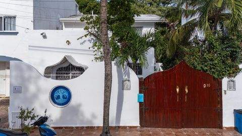 Playa del Carmen Bauernhöfe, Landwirtschaft, Playa del Carmen Forstwirtschaft