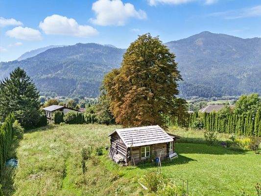 Garten mit Kastanienbaum und uriger Holzhütte