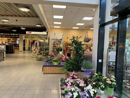 famila Lauenburg Freifläche