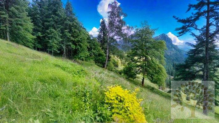 Viel Natur garantiert