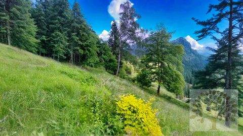 Treffen am Ossiacher See Grundstücke, Treffen am Ossiacher See Grundstück kaufen