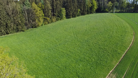 Vilsheim Bauernhöfe, Landwirtschaft, Vilsheim Forstwirtschaft