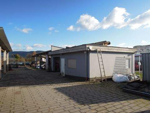 Schweich Halle, Schweich Hallenfläche