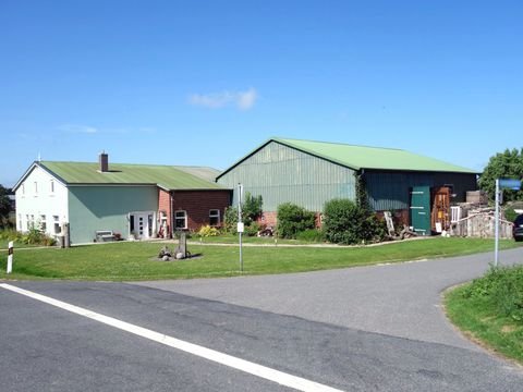 Friedrichskoog Häuser, Friedrichskoog Haus kaufen