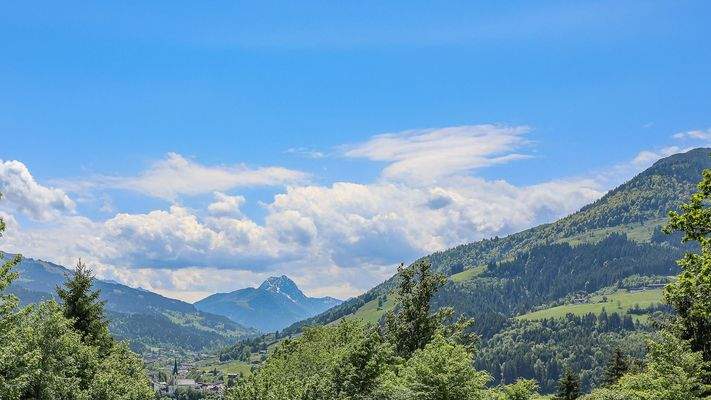 KITZIMMO-Luxusvilla in Toplage am Sonnberg kaufen - Immobilien Kirchberg.