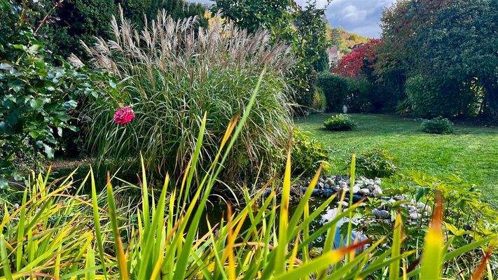 WhatsApp Image 2025-11-07 at 11.16.28