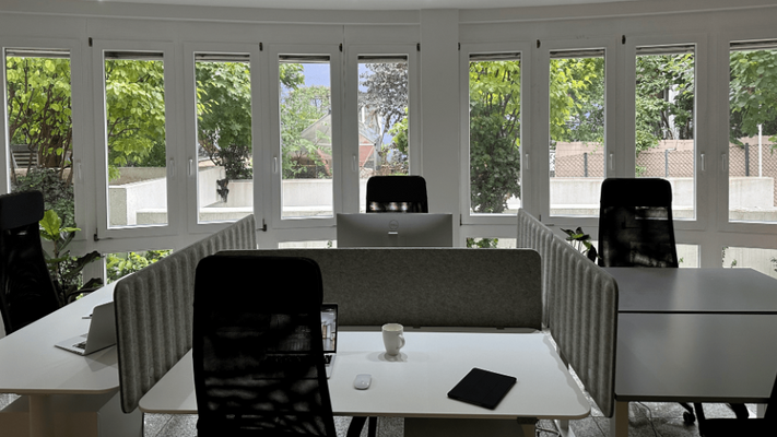 Flexible Schreibtischplätze (flexDesk - All inclusive*)