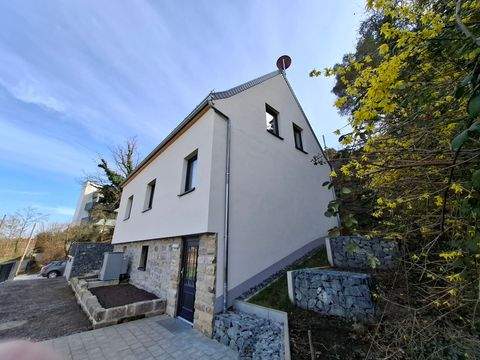 Dresden Häuser, Dresden Haus mieten 