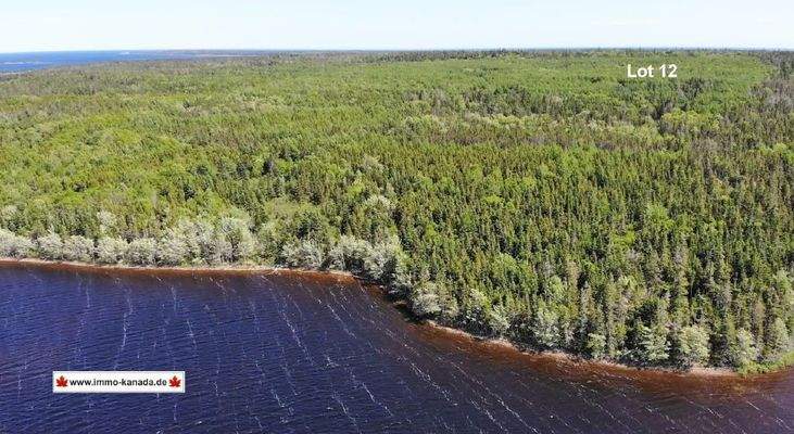 Cape Breton - Shaw Lake - 11,2 Hektar-Areal in her